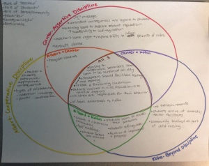 Venn Diagram - Discipline Theories